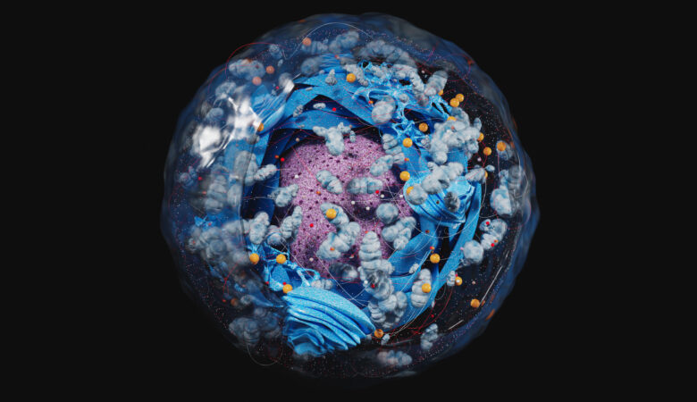 Environmental Toxins, Pesticides & Mitochondrial Dysfunction: The Hidden Drivers of Chronic Disease