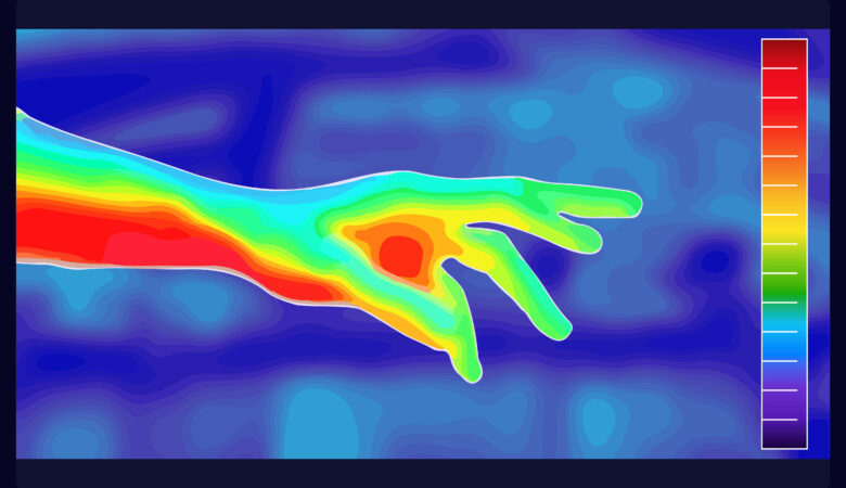 Thermography (Thermal Imaging Scans)